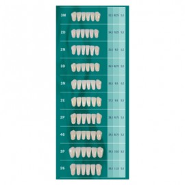 Tablilla Dientes Biotone Anteriores Inferiores 6pz Dentsply