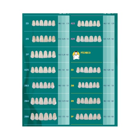Tablilla Dientes Biotone Anteriores Superiores 6pz Dentsply